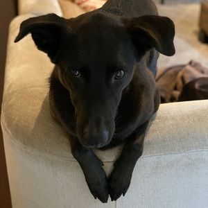 Meet your Posher, Julie